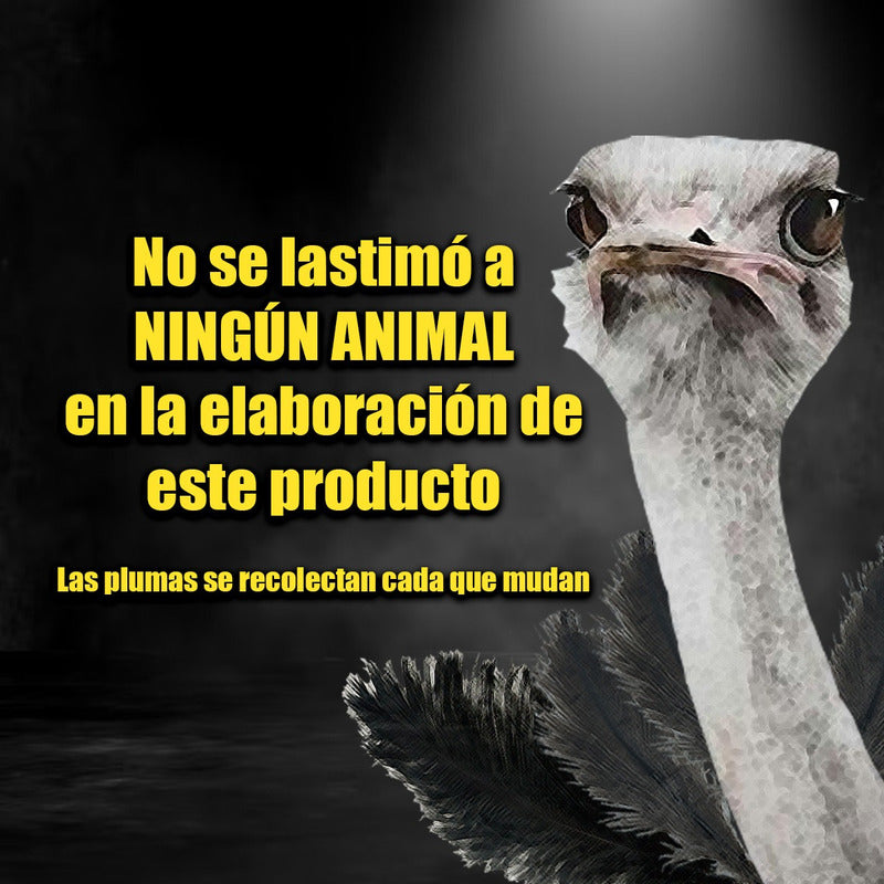 10pack Plumero De Avestruz Retractil Negro