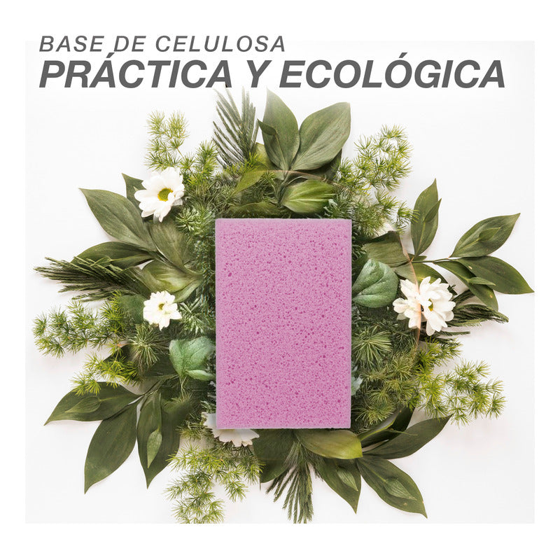 5 Esponjas Comprimida Rosa