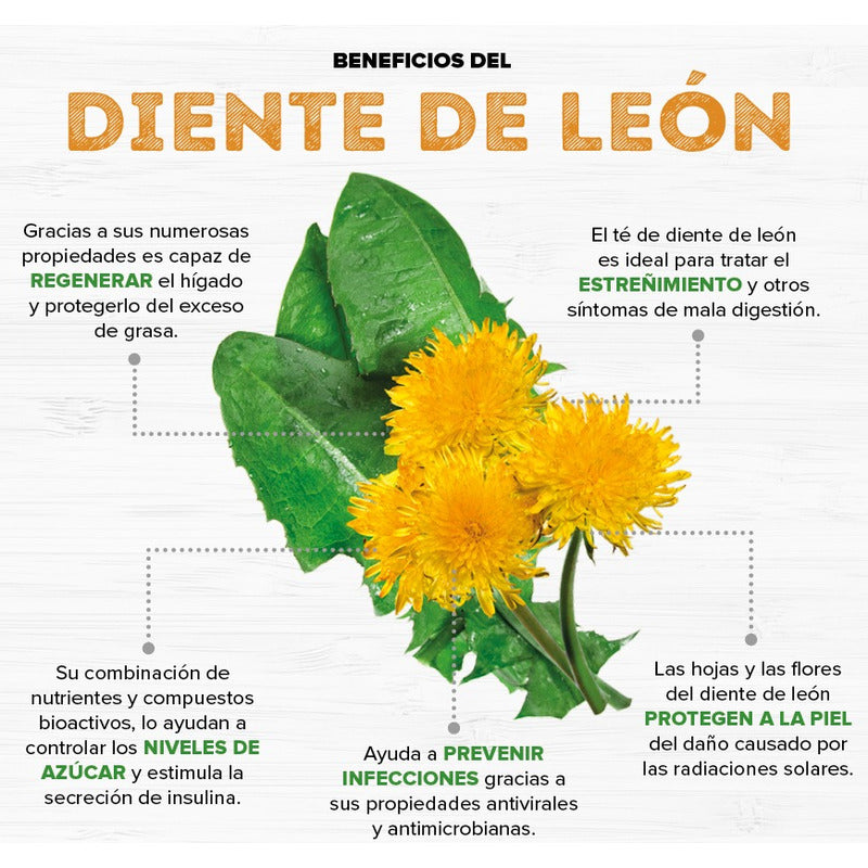 Té De Diente De León Equinacea Y Té Verde 30 Sobres Gn+vida