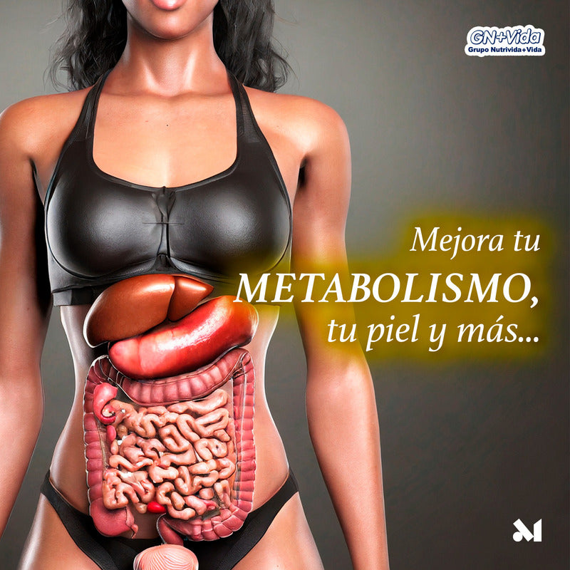 Alpiste Sabor Capuchino En Polvo Organico 500g Gn+vida