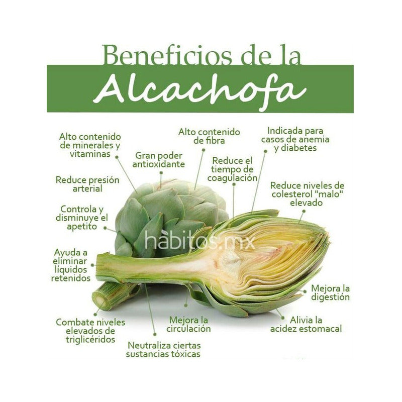 2 Pack Te Corazon De Alcachofa Laxante 60 Sobres Gn+vida