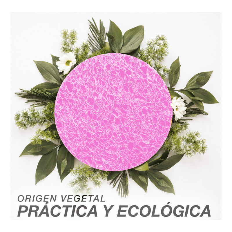 24 Esponjas De Limpieza Comprimida Exfoliar Rosa