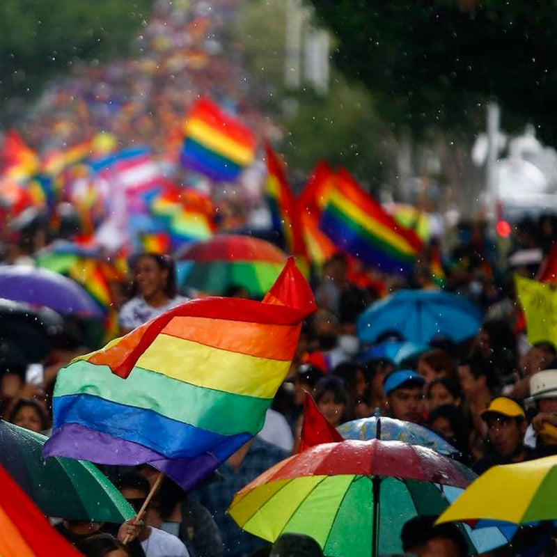 Paraguas Arcoiris Sombrilla Pride Lgbt Blanco