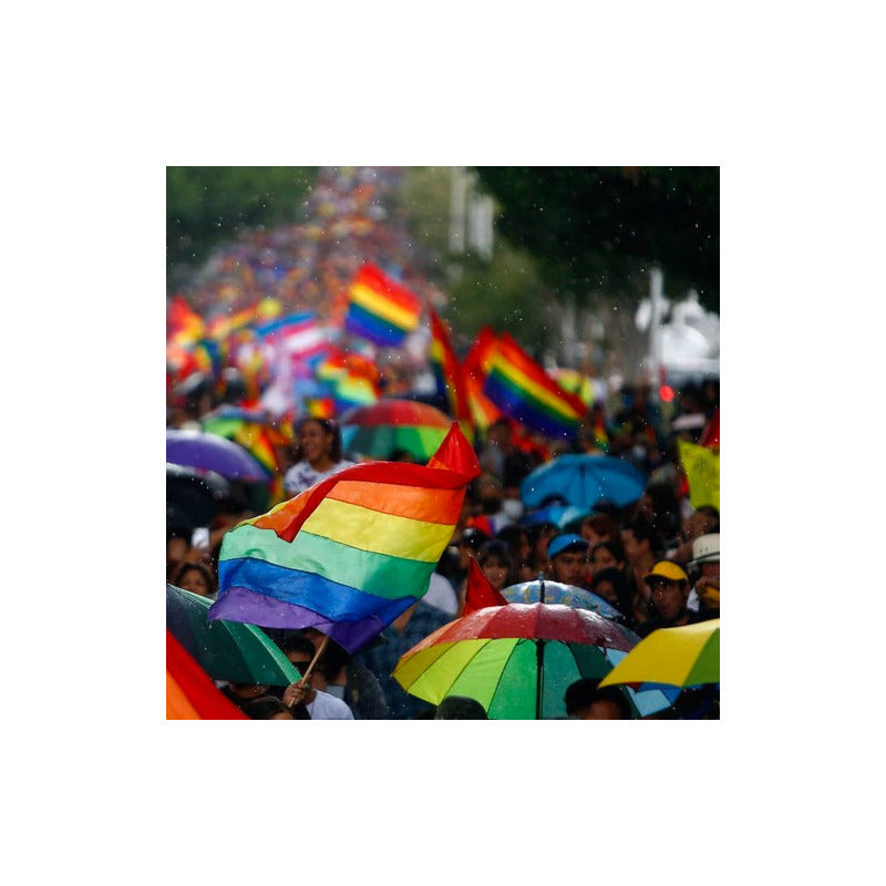 Paraguas Arcoiris Sombrilla Pride Lgbt Color Blanco